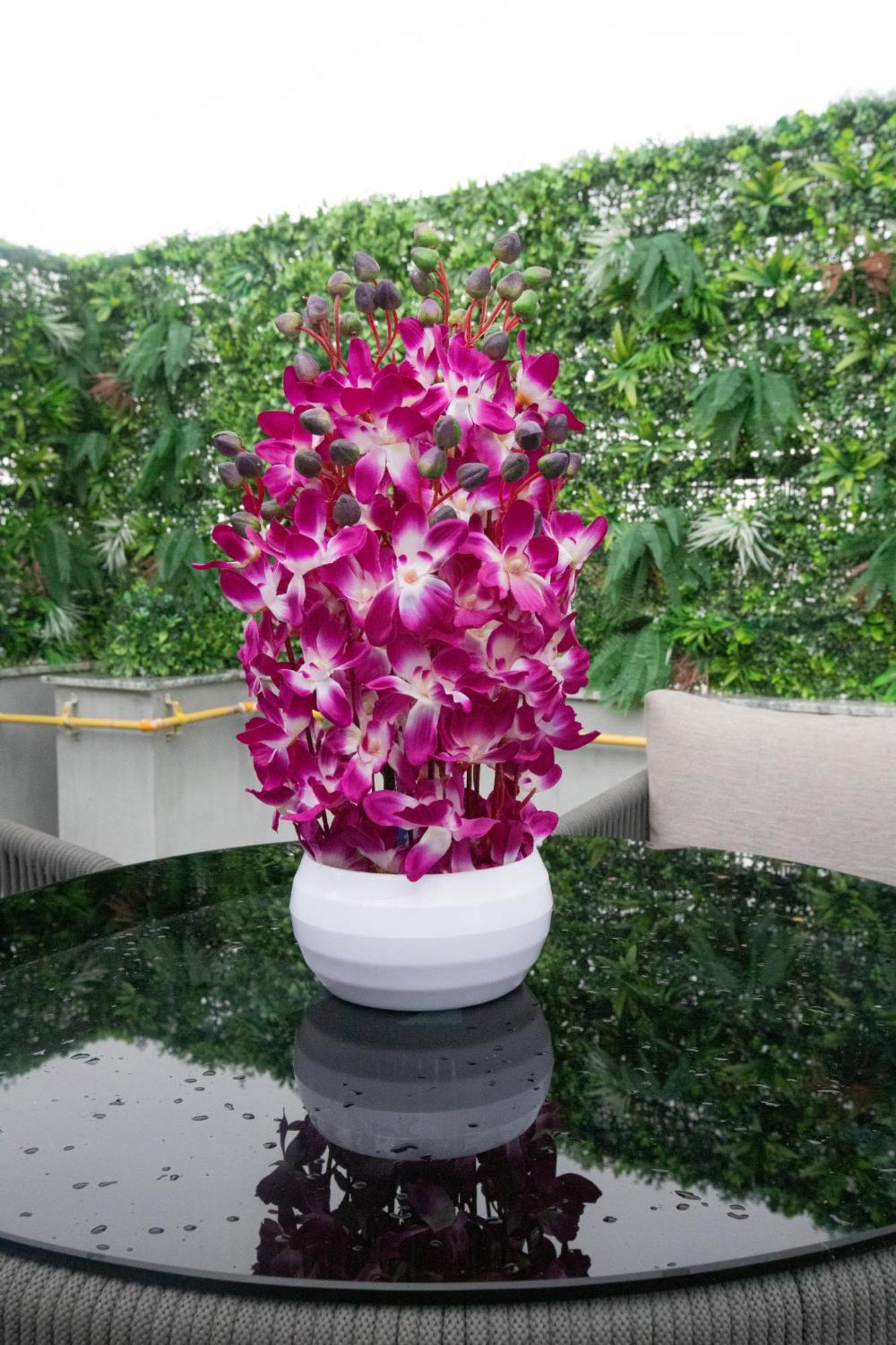 Apartment Soqu - South Of Qutub 3bhk Luxury